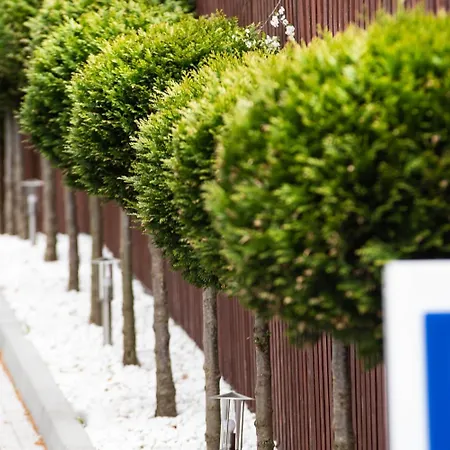 Pienkowskich 4* Gdynia